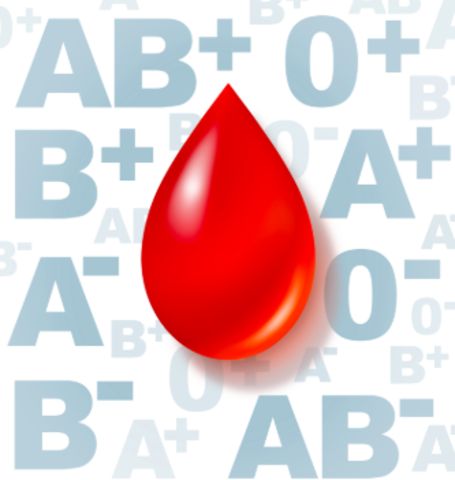 Política Nacional de Sangue, Elementos e Hemoderivados