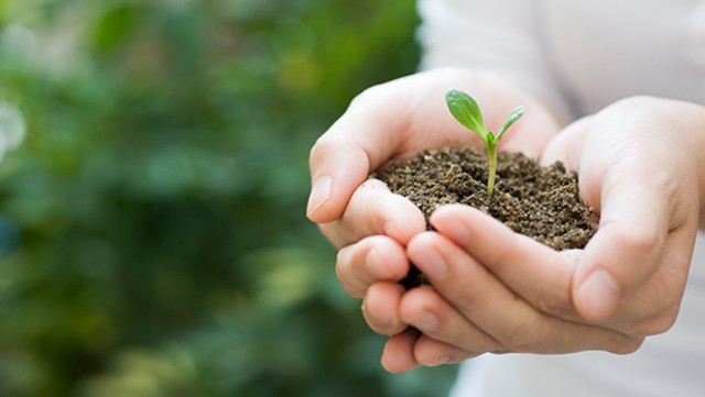 ESTRATEGIA PARA LA CONSERVACIÓN