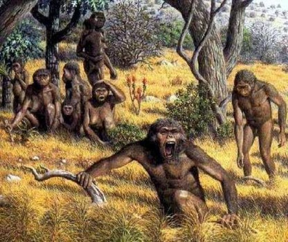LOS MONOS EVOLUCIONAN