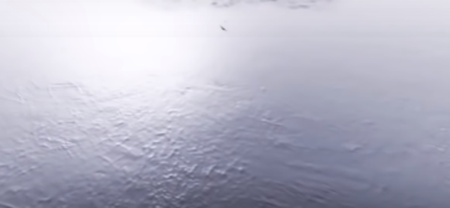 LA TEORÍA DE LA TIERRA: BOLA DE NIEVE