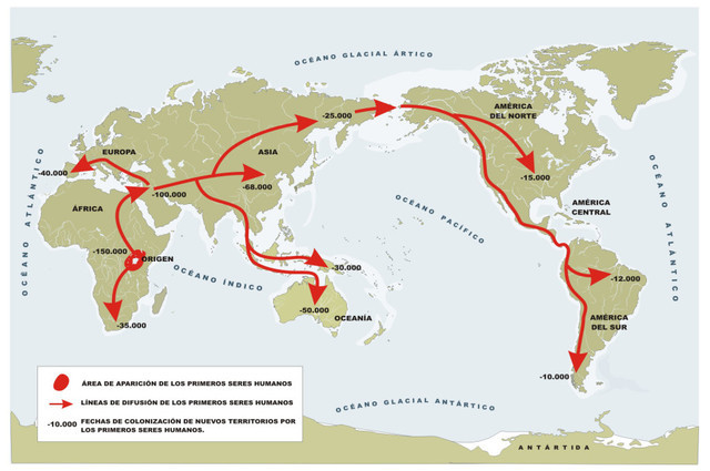 HOMO HERECTUS EVOLUCCIONA A HOMO SAPIENS