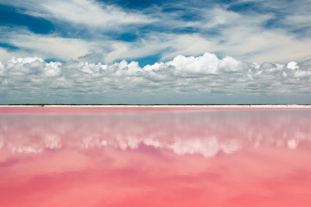 el agua es color de rosa