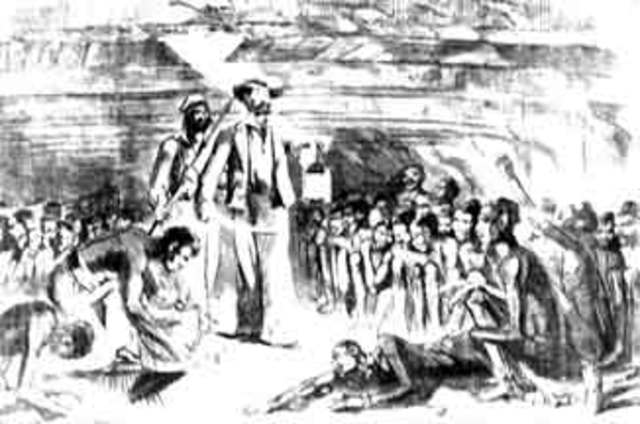 Slave Importation Ban