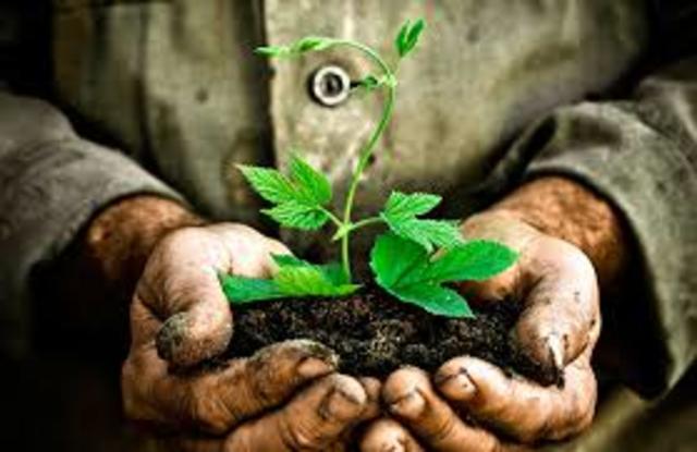 PREOCUPACION POR EL MEDIO AMBIENTE