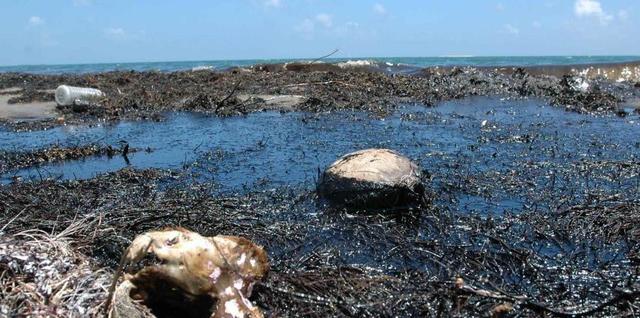 FACTORES AMBIENTALES