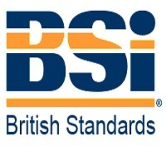 BRITISH STANDARD INSTITUTION