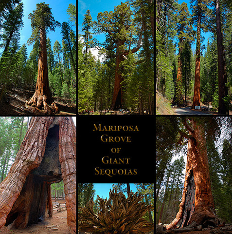 Primeras reservas naturales oficiales