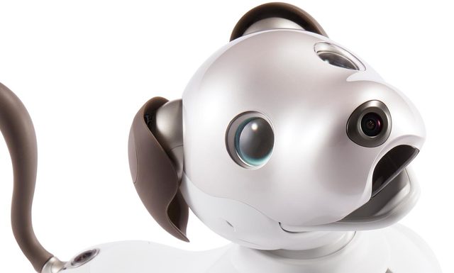 AIBO