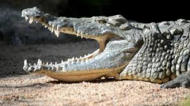 Comparación de conjuntos