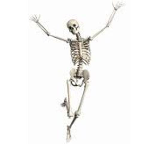 Conjunto de los esqueletos