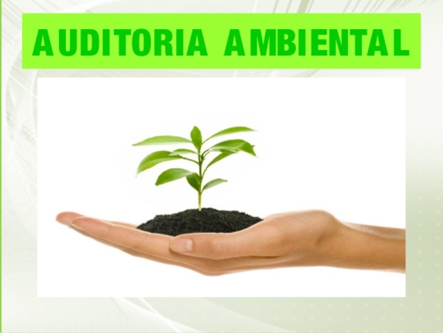 programa nacional de auditoria