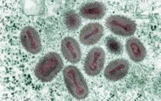 Medicine And Sickness During The Revolutionary War