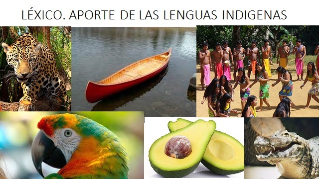 EL LÉXICO, APORTE PRINCIPAL DE LAS LENGUAS INDIGENAS