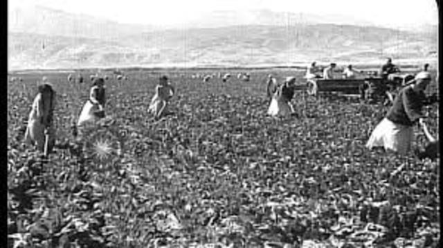 Lenin Restores Russia