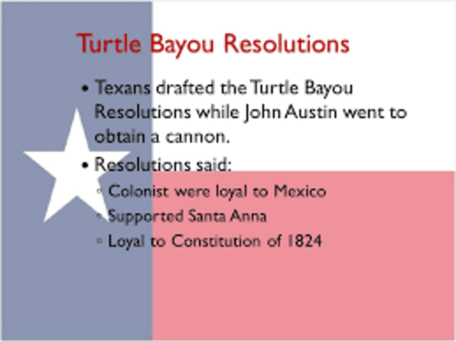 turtle bayou resolutions