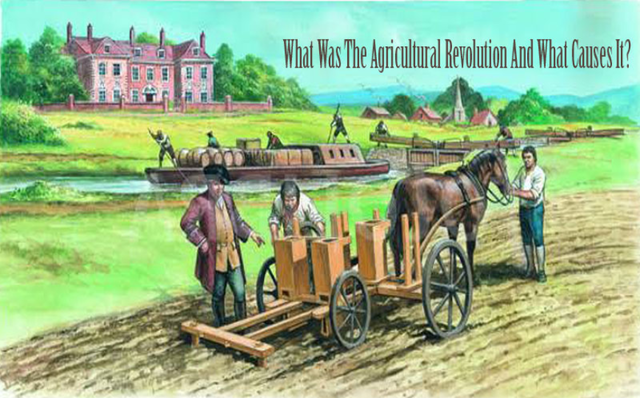 Agriculture Revolution