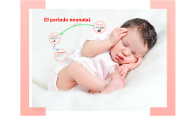 O MESES - PERIODO NEONATAL