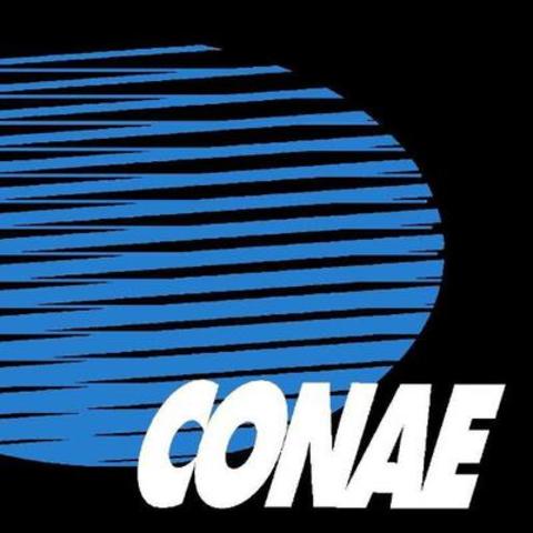 Comisión Nacional de Actividades Espaciales