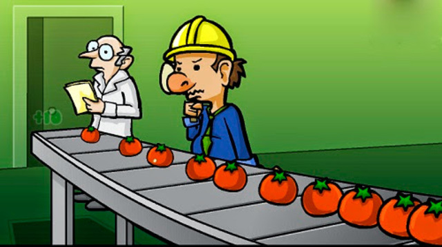 Etapa de inspección