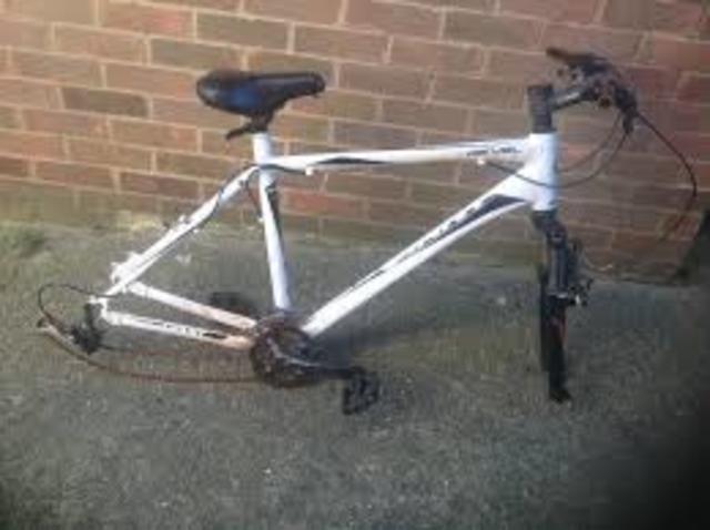 Darius Loses his Bike