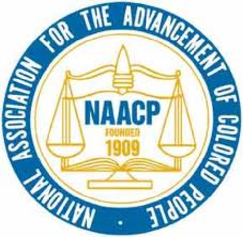 Creation of the NAACP