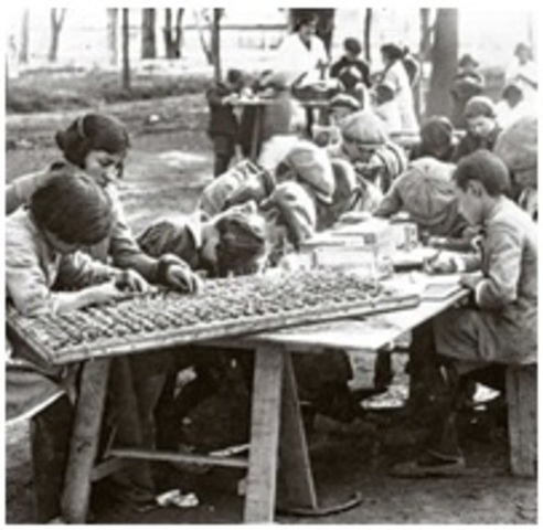 los principios de la nueva escuela