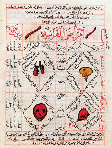 Translations of Ancient Manuscripts and Medical Texts