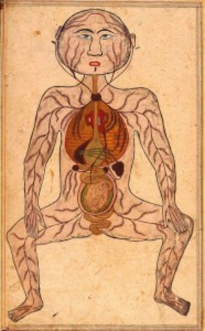 Cerrahiyetu ‘l-Haniyye