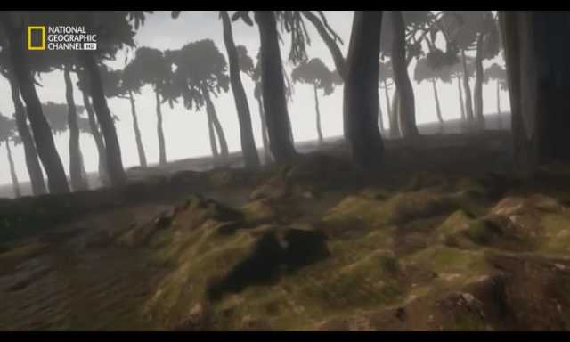 LAS PRIMERAS PLANTAS DE TIERRA