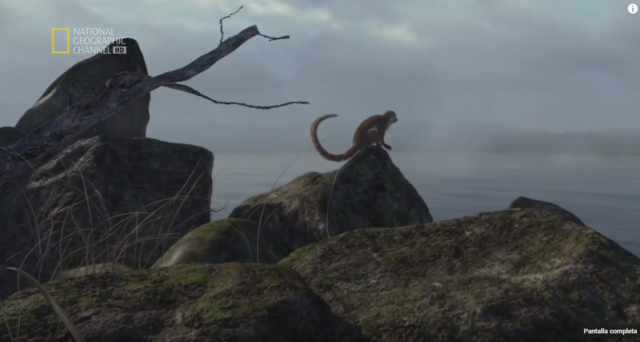 Evolución de los mamíferos