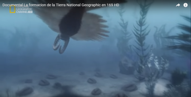 la vida multicelular