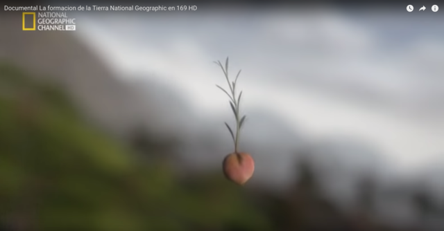 la vida vegetal en tierra