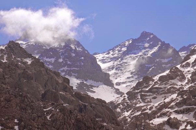 El inicio de la evolución