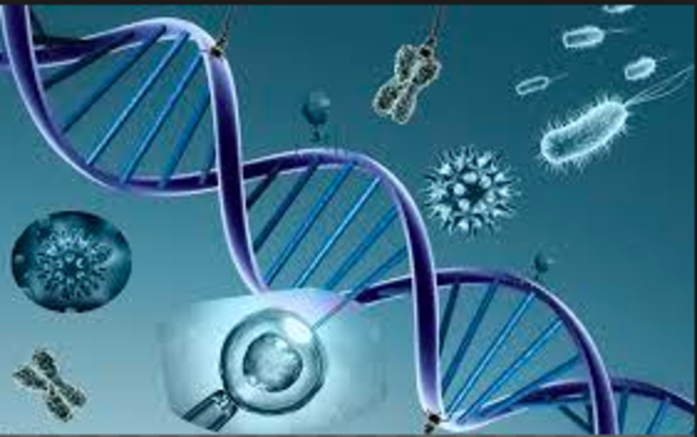Política Nacional de Atenção Integral em Genética Clínica