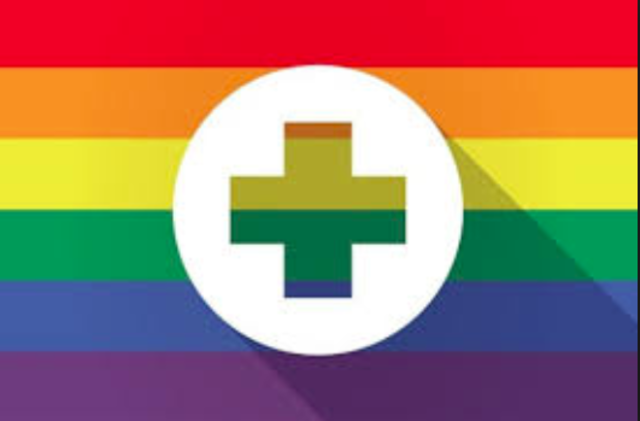 Política Nacional de Saúde Integral de Lésbicas, Gays, Bissexuais, Travestis e Transexuais