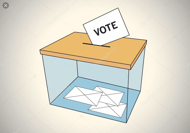 The constitution denied the women the right to vote.