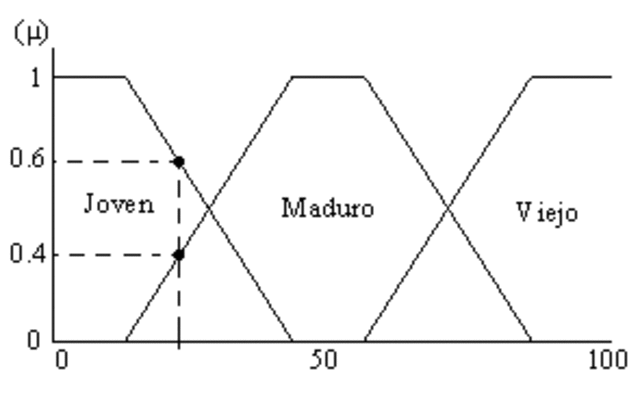 “conjuntos difusos” “conjuntos difusos y los sistemas”