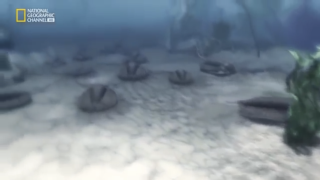 La explosión cambriana