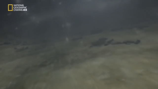 La extinción permiana