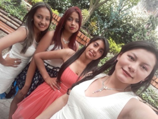 MIS XV