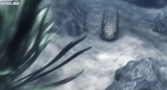 Los nuevos seres vivos