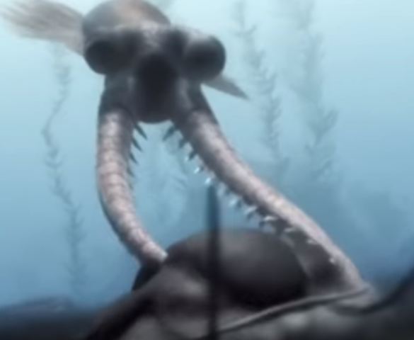 NUEVA ESPECIES : EXPLOSIÓN CAMBRIANA