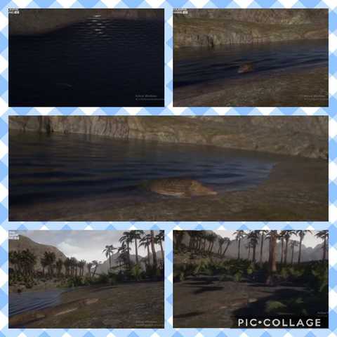 Primer animal sobre tierra firme