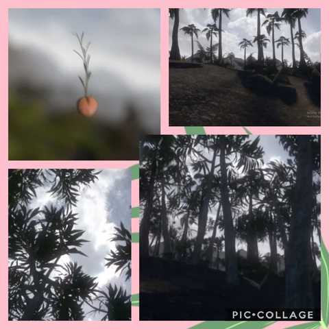 La tierra se pobló de arboles