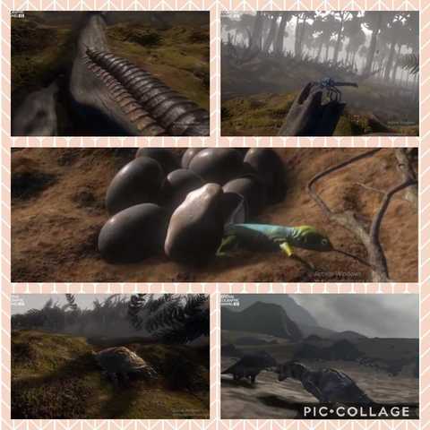 Gran variedad de insectos y reptiles