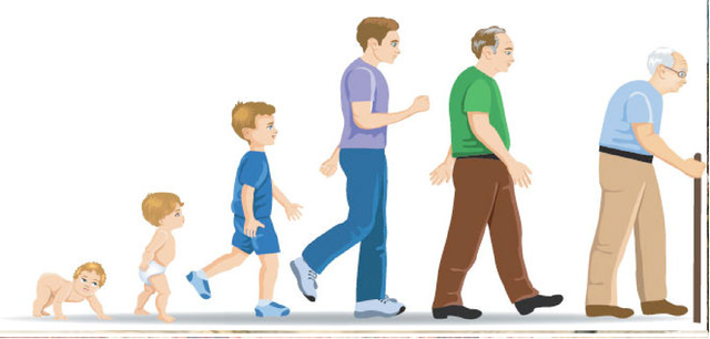 CLASIFICACIÓN DE ETAREA