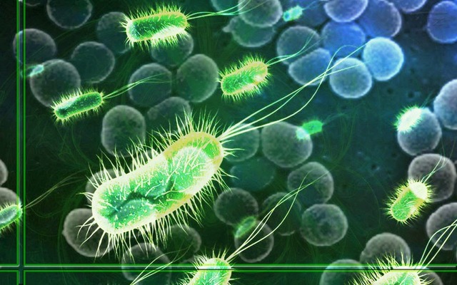 6. 1ra forma de vida en la tierra