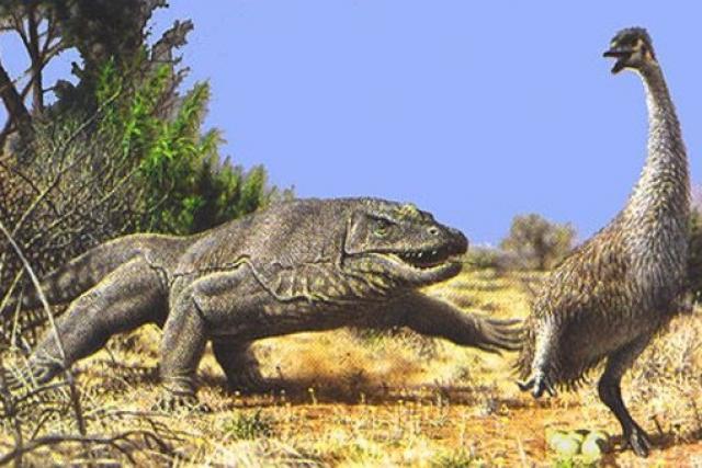 13. reptiles gigantes