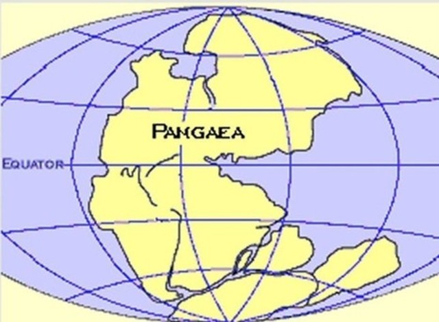 Pangea