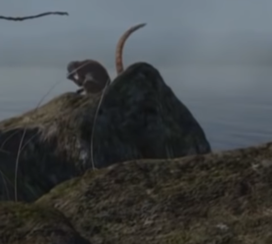 EVOLUCIÓN DE LOS MAMÍFEROS